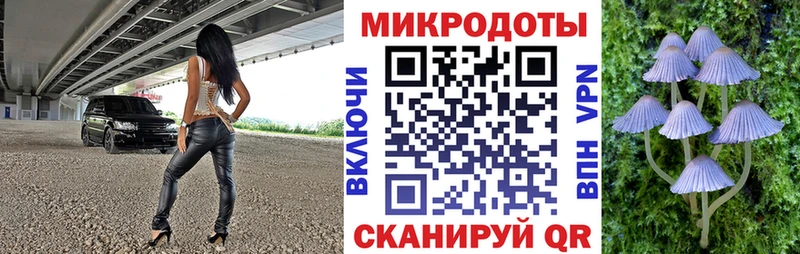 Галлюциногенные грибы Psilocybe Петров Вал